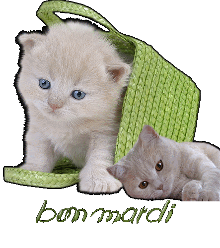 SALUTA+A+A+A+A+AA+A+A+A+A+A+