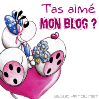 alors tu aime bi1 mon blog