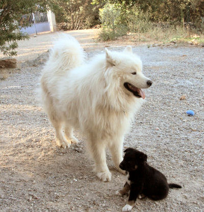 ils sont mimi tous les deux nn?