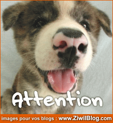 ATENTION!!!!!!!!!!!!!!!!!!!!!!!!!!!!!!